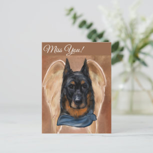 Beauceron                       postcard