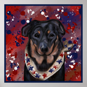 Beauceron           poster