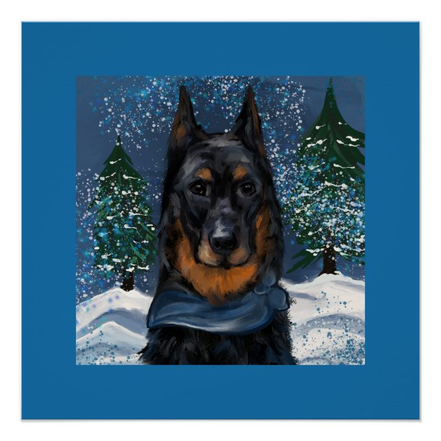 Beauceron                       poster (Front)