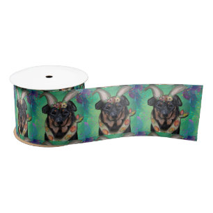 Beauceron        satin ribbon