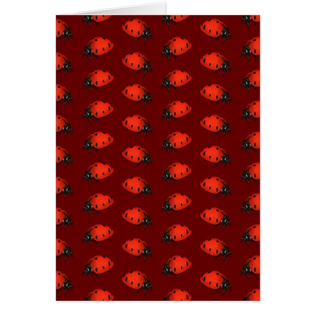 Beaucoup De Ladybugs (Devant)
