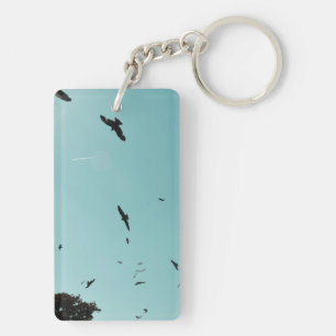 Beaucoup d'oiseaux et un controle