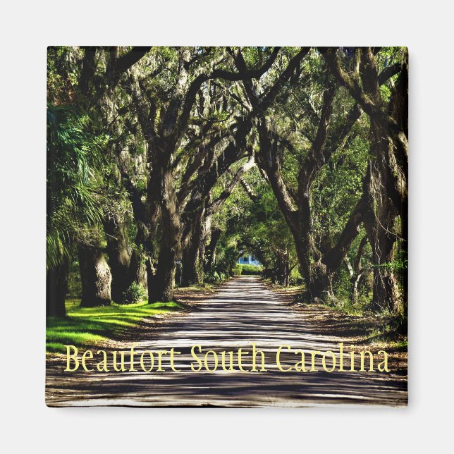 beaufort south carolina magnet (Front)