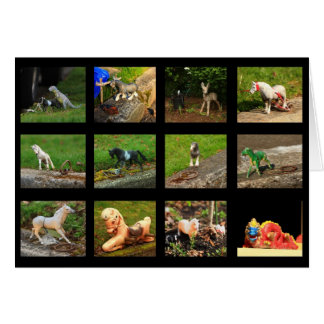 Beaumont Wildlife