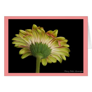 Beauté à tous les égards