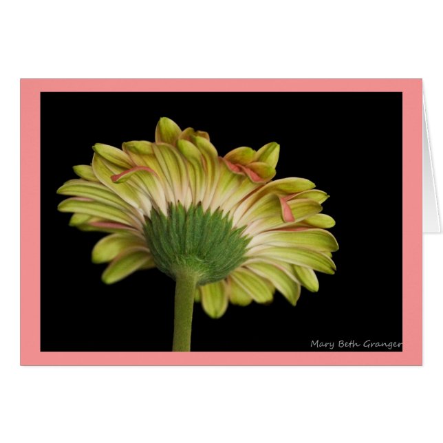 Beauté à tous les égards (Devant Horizontal)