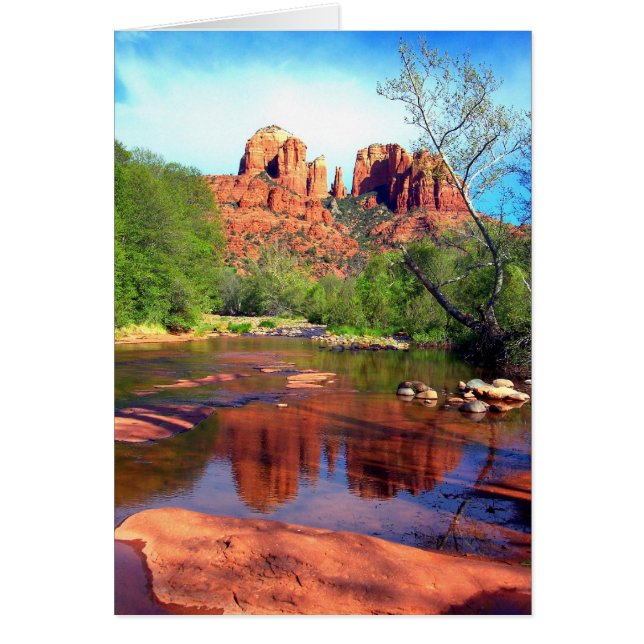 Beauté après-midi (Devant)