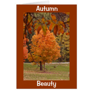 Beauté d'automne