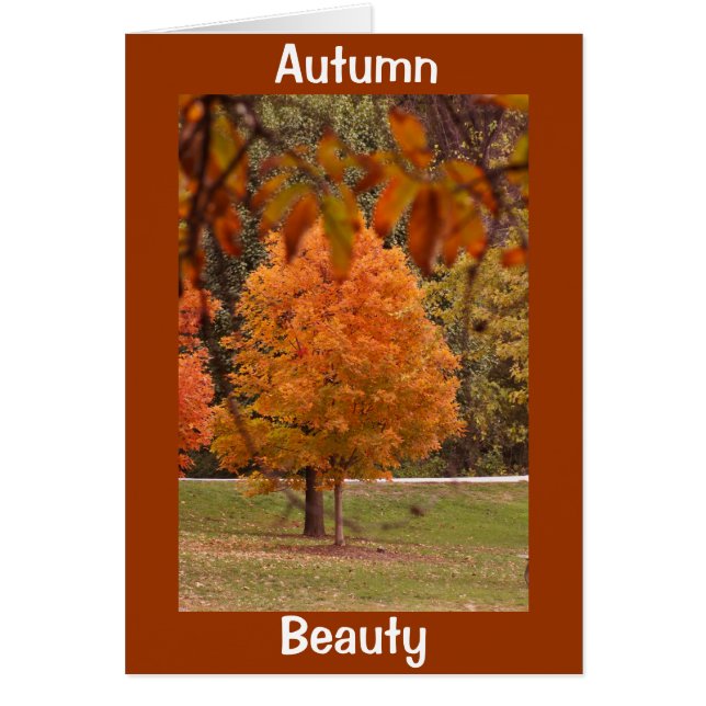 Beauté d'automne (Devant)