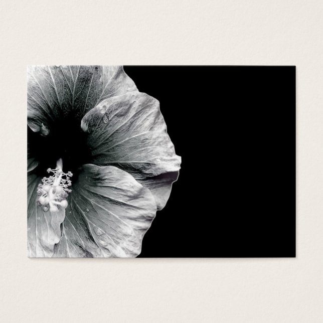 Beauté de Budding (Devant)