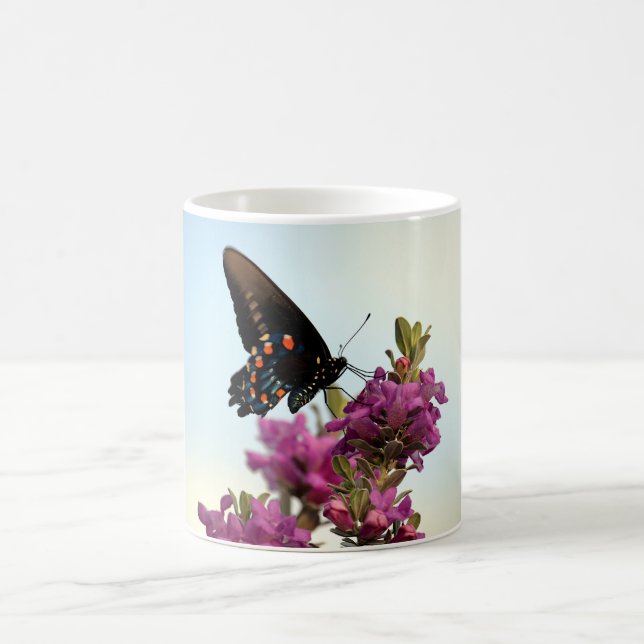 Beauté de la Mug des papillons (Centre)