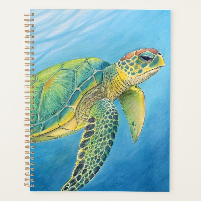 Beauté de la tortue (Devant)