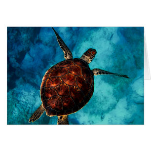 Beauté de la tortue de mer