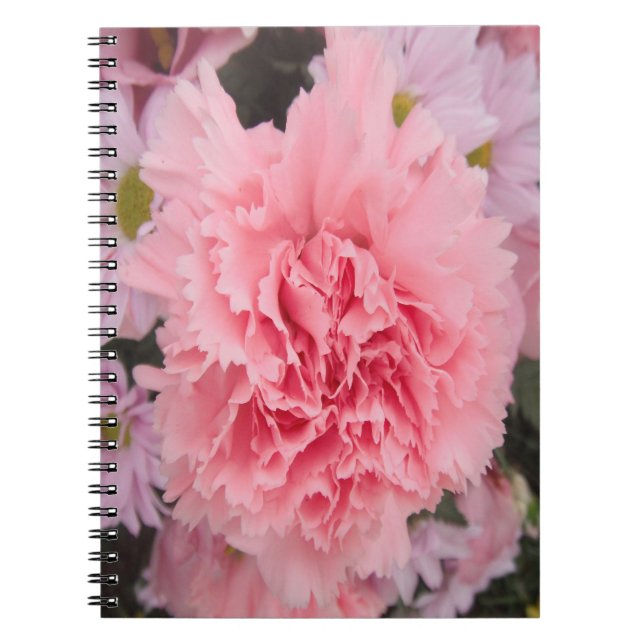 Beauté de l'oeillet rose carnet (Devant)