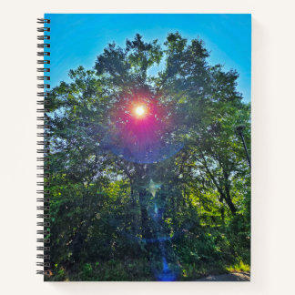 Beauté du Carnet du Sun College