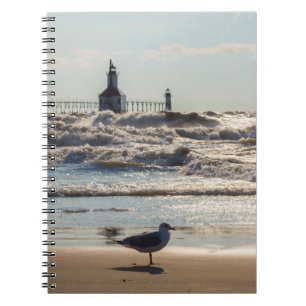 Beauté Et Carnet De Force