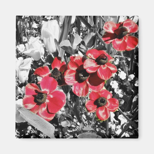 Beauté sélective - Magnet de fleurs d'anémones (Devant)