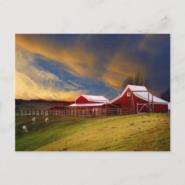 Beauté sur la carte postale de la ferme (Devant)