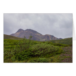 Beauté Tourbillonnante à Denali