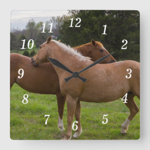 Beautés de bain Horloge murale