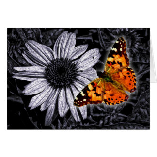 Beautifly