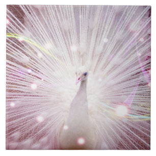 Beautifu lWild Bird Tile