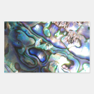Beautiful abalone shell sticker