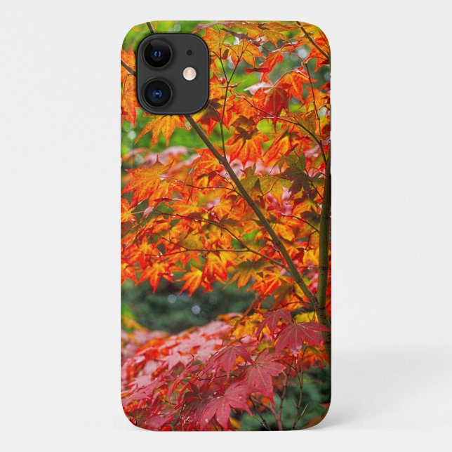 Beautiful Acer iPhone 11 Case (Back)