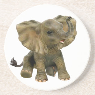Beautiful African Baby Elephant Coaster