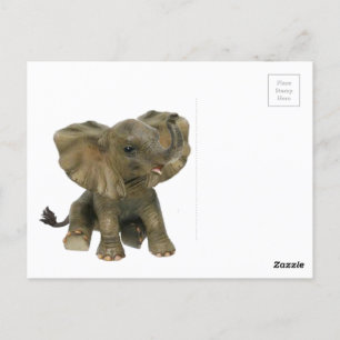 Beautiful African Baby Elephant Postcard