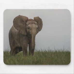 Beautiful African Bush Elephant Mouse Pad
