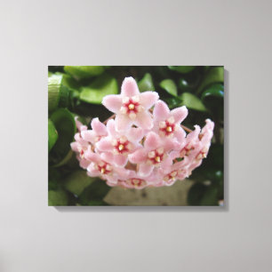 Beautiful African Violet Canvas Print
