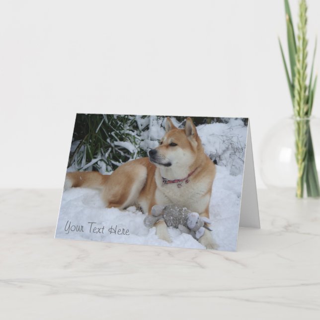 beautiful akita resting in the snow christmas holiday card (Front)