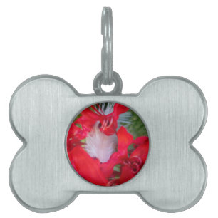Beautiful Alien Crimson.jpg Pet Name Tag