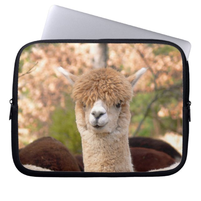 Beautiful Alpaca Laptop Sleeve (Front)