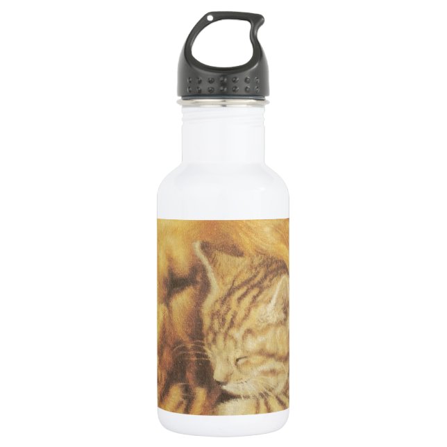 Beautiful Amazing Cat and Dog Cuddling Art Print 532 Ml Water Bottle (Front)