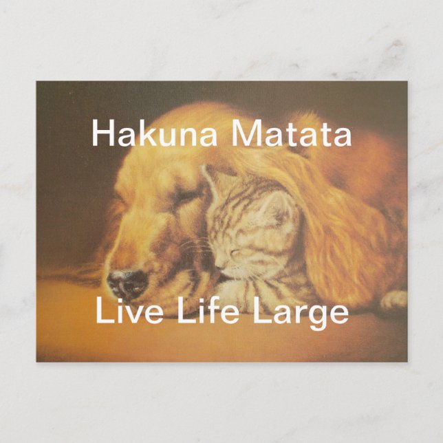 Beautiful Amazing Cat and Dog Cuddling Art Print Postcard (Front)