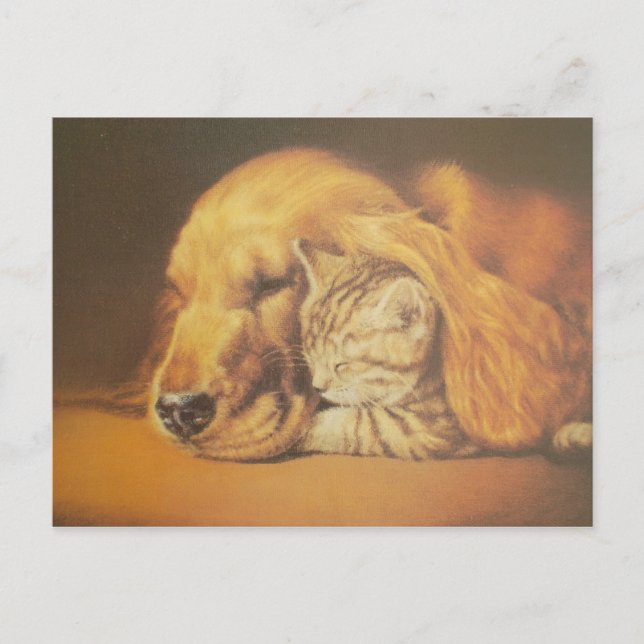 Beautiful Amazing Cat and Dog Cuddling Art Print Postcard (Front)
