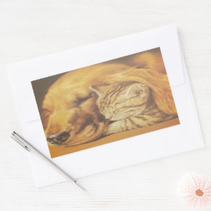 Beautiful Amazing Cat and Dog Cuddling Art Print Sticker