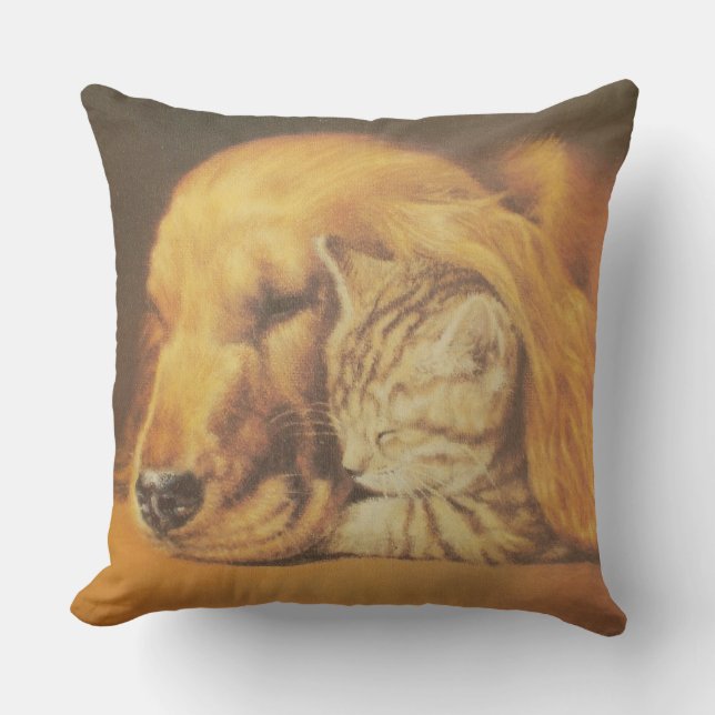 Beautiful Amazing Cat and Dog Cuddling Art Print Throw Pillow (Front)