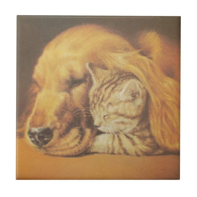 Beautiful Amazing Cat and Dog Cuddling Art Print Tile (Front)