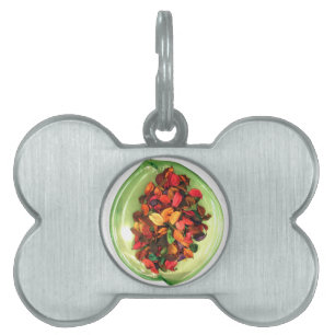 Beautiful amazing colourful rose design pet tag
