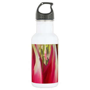 Beautiful amazing customizable Trendy Art Design 532 Ml Water Bottle