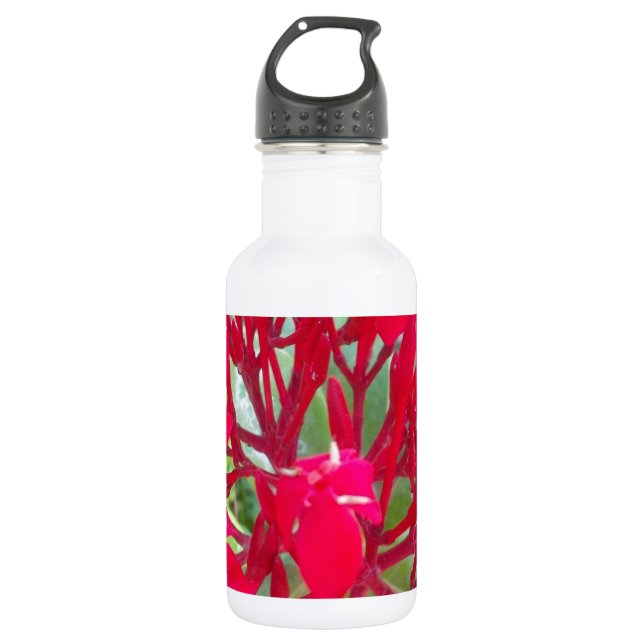 Beautiful amazing customizable Trendy Art Design  532 Ml Water Bottle (Front)