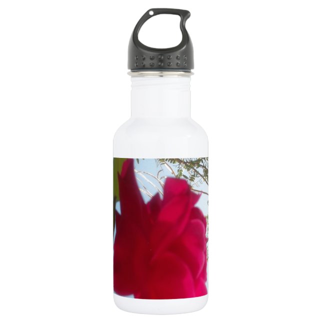 Beautiful amazing customizable Trendy Art Design  532 Ml Water Bottle (Front)