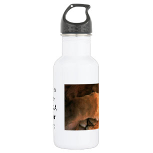 Beautiful amazing customizable Trendy Art Design 532 Ml Water Bottle