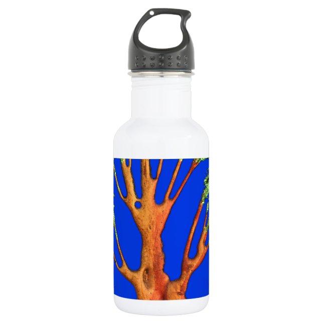 Beautiful amazing customizable Trendy Art Design  532 Ml Water Bottle (Front)
