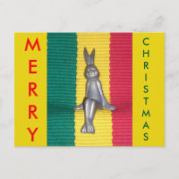 Beautiful amazing Rabbit Kingston Jamaica 