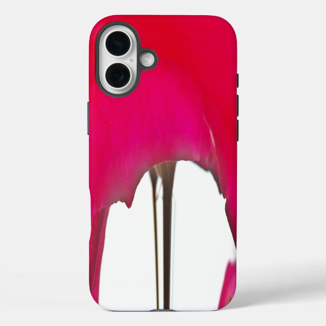 Beautiful amazing Red rose under the white sky Case-Mate iPhone Case (Back)