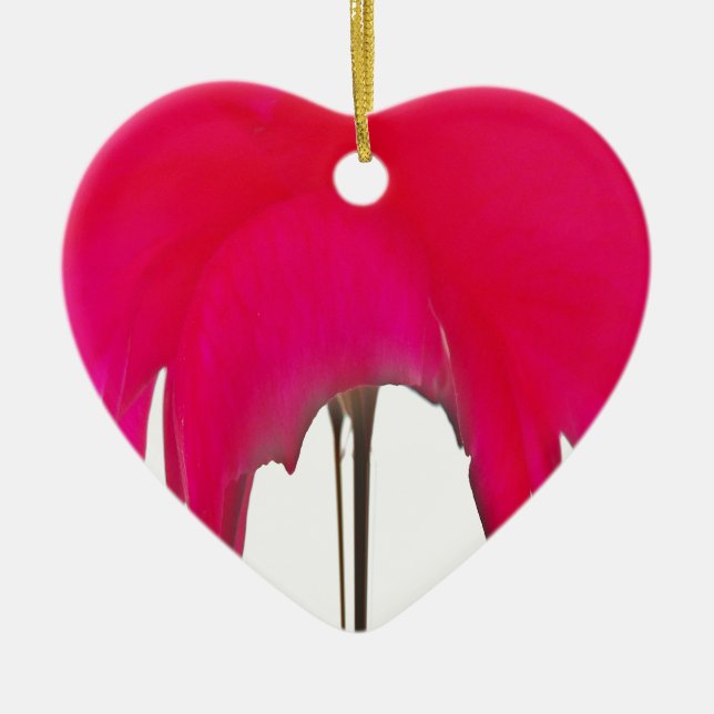 Beautiful amazing Red rose under the white sky Ceramic Ornament (Front)